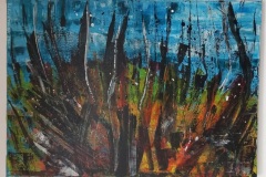 FB_IMG_1746305037276